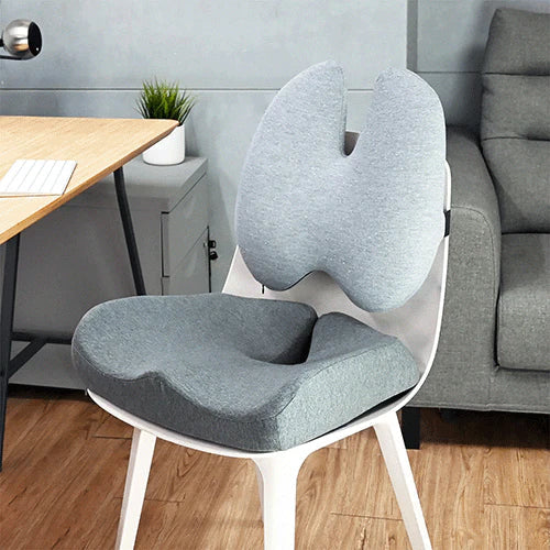 Leomera Seat & Back Cushion Set